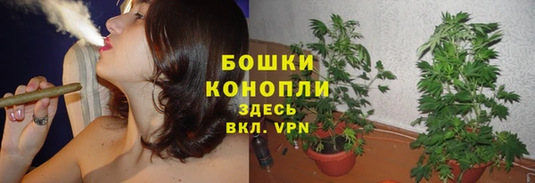 мяу мяу кристалл Козловка
