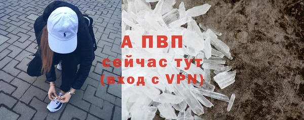 a pvp Кодинск