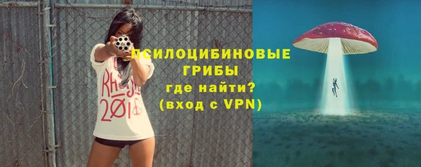 a pvp Кодинск